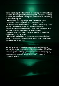 This is the back cover that goes with the new 2nd cover.